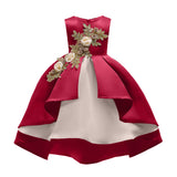 Embroidered Party Dress
