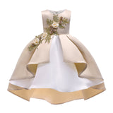 Embroidered Party Dress