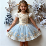 Lucky Sale-Christmas Snowflake Dress