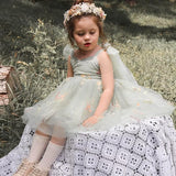 Lace Bow Flower Embroidery Dress