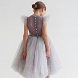 Flounced Sleeve Mesh Dress