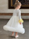 Long Sleeve Cute Gauze Skirt Pettiskirt Princess Dress