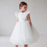 Flounced Sleeve Mesh Dress