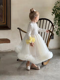Long Sleeve Cute Gauze Skirt Pettiskirt Princess Dress