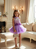 Purple Sleeveless Top + Tutu Skirt Suit