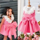 Lace Sleeveless Butterfly Dress
