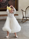 Long Sleeve Cute Gauze Skirt Pettiskirt Princess Dress