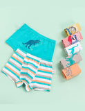 Dinosaur Print Boxer Shorts - CCMOM