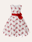 Floral Embroidered Mesh Dress - CCMOM