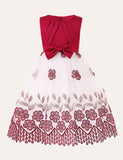 Floral Embroidered Party Dress