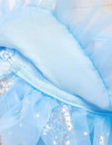 Frozen Mesh Party Dress - CCMOM