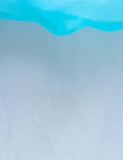 Frozen Mesh Party Dress - CCMOM