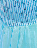 Frozen Mesh Party Dress - CCMOM