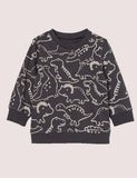Printed Dinosaur Sweatshirt