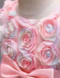 Rose Dream Mesh Party Dress + Unicorn Wings - CCMOM
